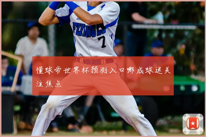 懂球帝世界杯预测入口哪成球迷关注焦点
