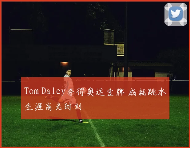Tom Daley夺得奥运金牌 成就跳水生涯高光时刻