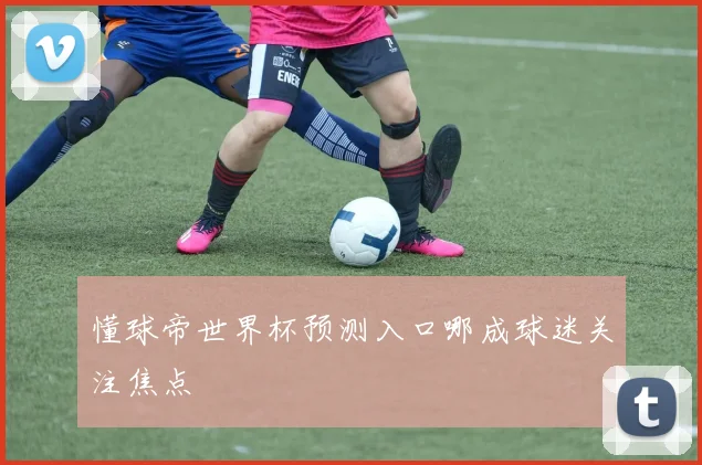 懂球帝世界杯预测入口哪成球迷关注焦点